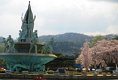 Seoul National Cemetery: The Less Crowded Cherry Blossom Spot!