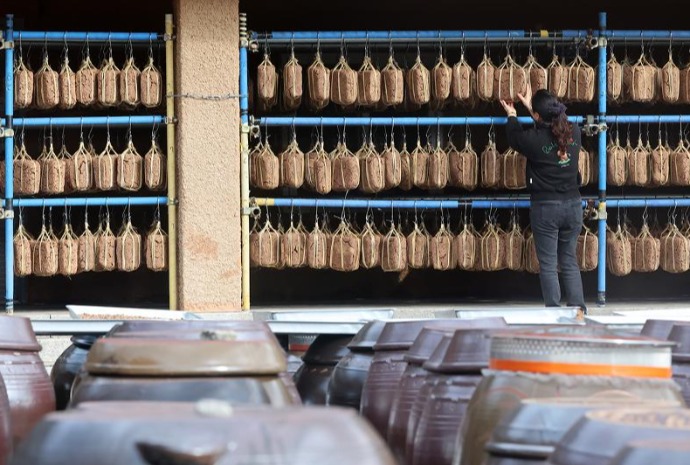 Ripening season for fermented soybean lumps