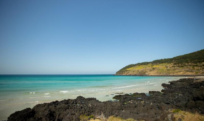 🎧 Direct flights resumed between Jeju Island, China