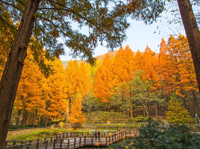 Five great spots nationwide to see colorful fall foliage